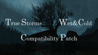 True Storms - Wet and Cold Compatibility