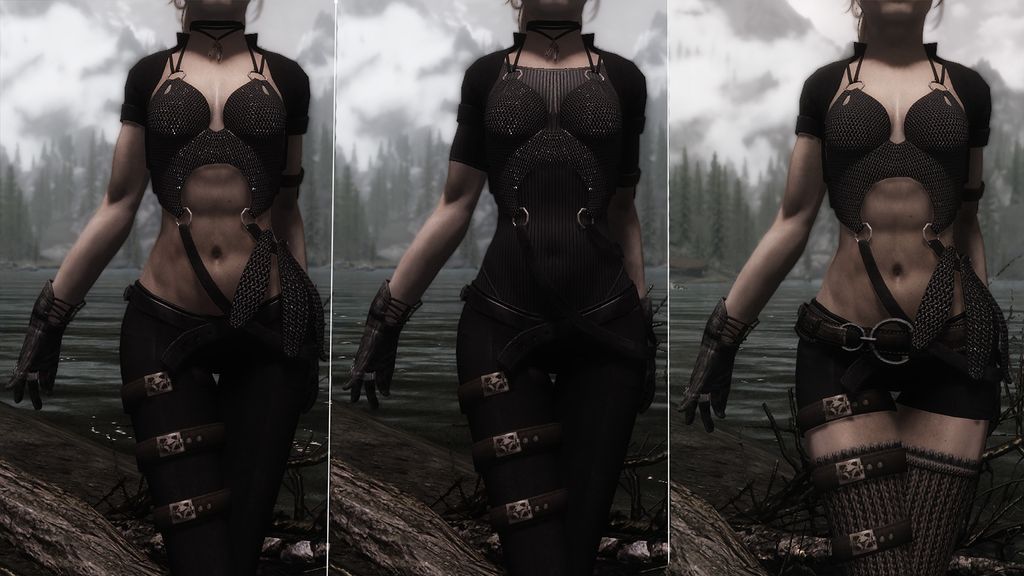 Elite Rogue Armour UNP-UNPB All-in-One Retexture - SSE