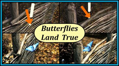 Butterflies Land True