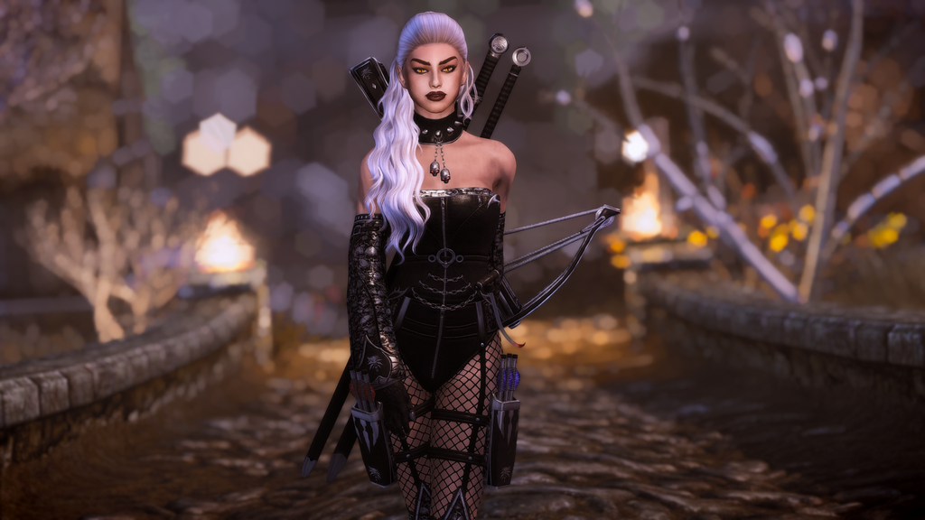 DX Witcher Armor - UNP