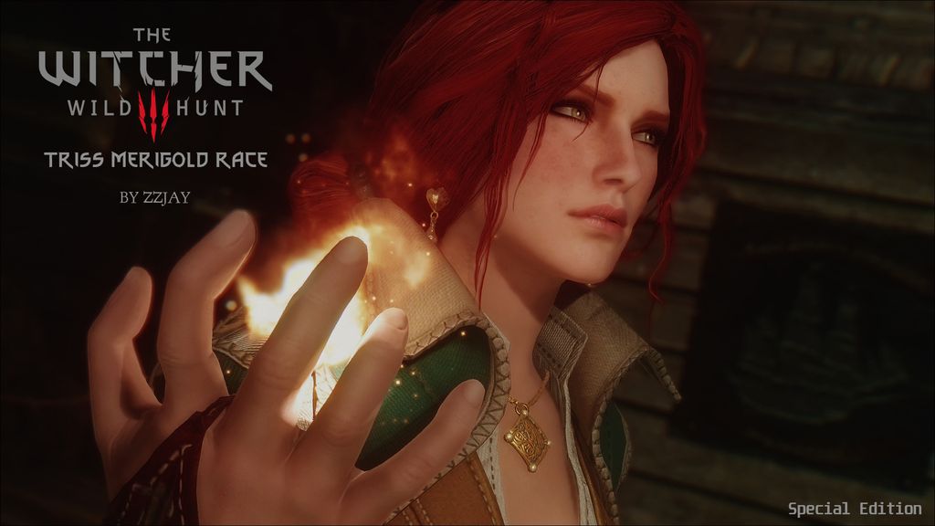 Triss Merigold - Playable Race by zzjay