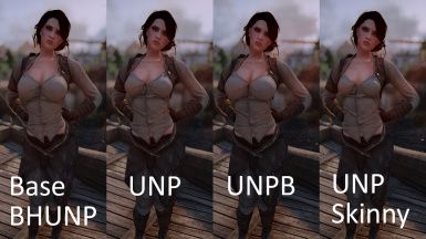 Practical Pirate Outfit BHUNP Bodyslide Conversion