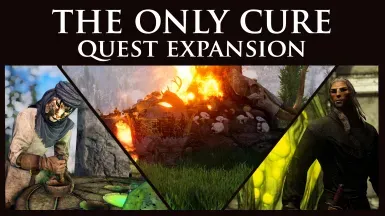 The Only Cure Quest Expansion - Patches