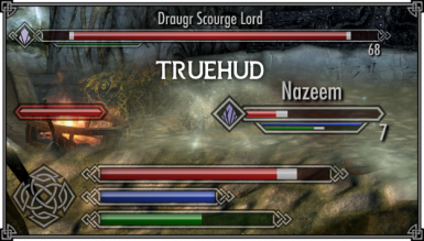 TrueHUD - HUD Additions