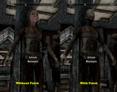 Mannequins Behave and LOTD (Legacy of the Dragonborn) Unofficial Patch